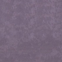 Ирис однотонный